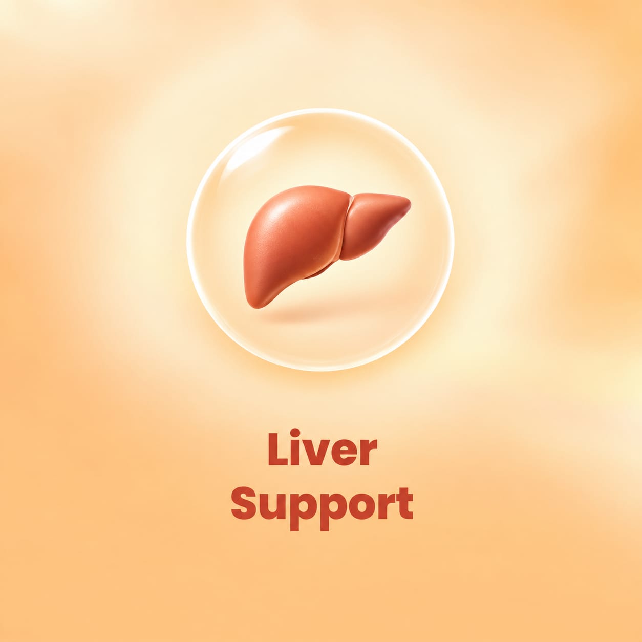 Liver Support